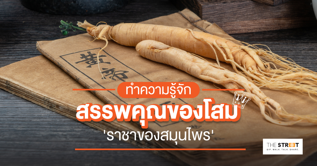 ทำความรู้จักสรรพคุณของโสม-ราชาของสมุนไพร